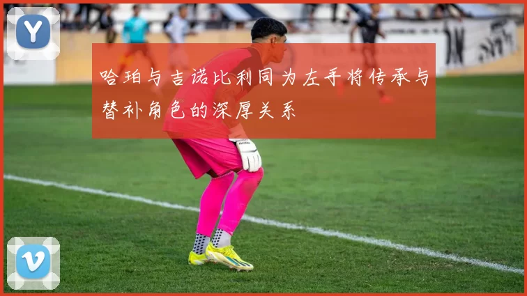 哈珀与吉诺比利同为左手将传承与替补角色的深厚关系